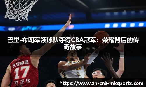 mk体育