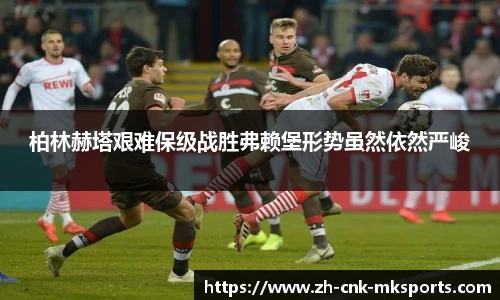 mk体育