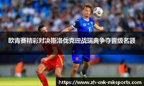 mk体育官方网站
